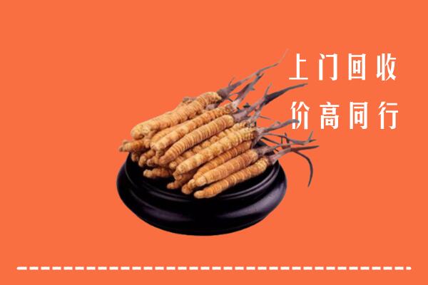 高价求购：潮州回收散虫草