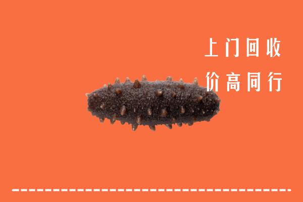 潮州高价回收海参