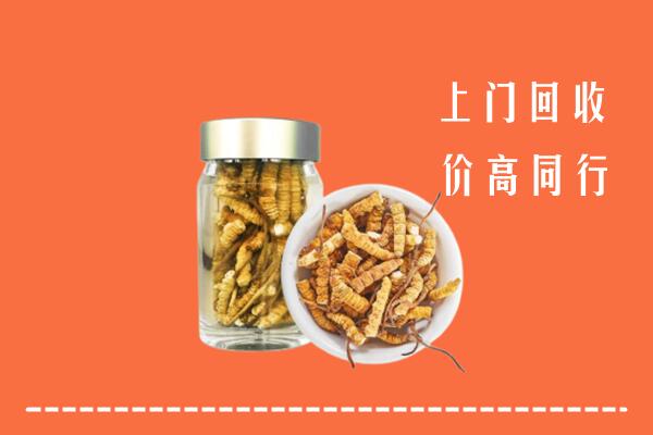高价求购：潮州回收冬虫夏草