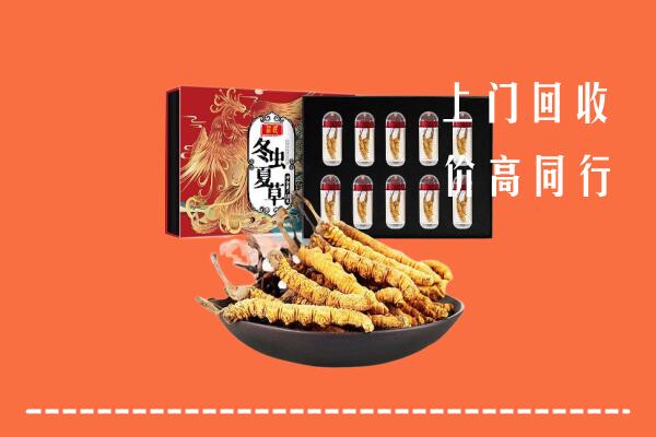 收购行情：潮州回收虫草